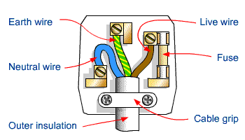 Plug-structure.gif