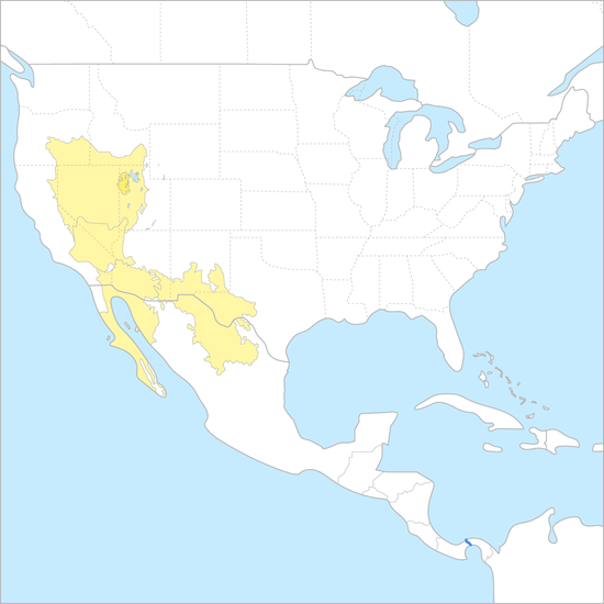 미국 사막 지도