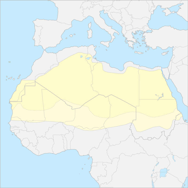사하라사막 국가 지도