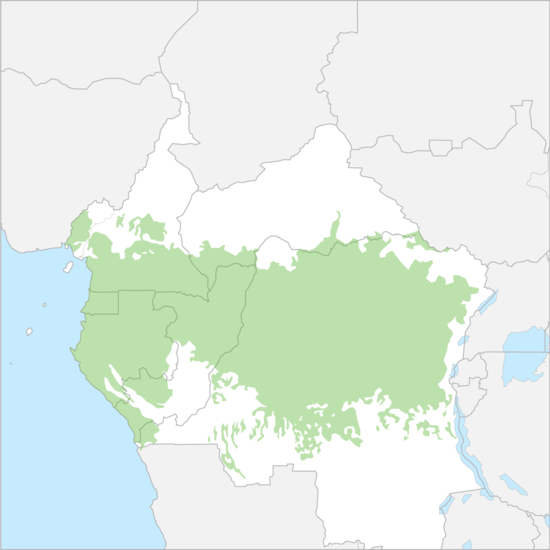 콩고분지 국가 지도